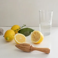 Redskaper>CHRISTIANIA 1739 Kitchenline Sitruspresse