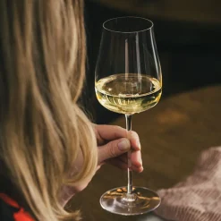 Champagne>HADELAND GLASSVERK Icon Champagneglass 40cl
