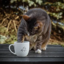 Krus|Kopper>PORSGRUNDS PORSELÆNSFABRIK Porsgrunds Porselænsfabrik Hashtag Krus 38 cl Livet Er Best Med Katt