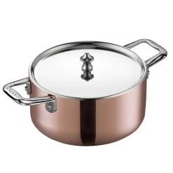 Stål>SCANPAN Maitre D' Lokk 20cm Stål