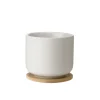 Krus|Kopper>STELTON Nordic Theo Krus m/Glassbrikke Sand