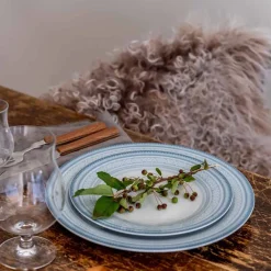 Asjetter>PORSGRUNDS PORSELÆNSFABRIK TALLERKEN FLAT 22 CM BLÅ - 4PK