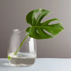 Dekor|Vaser>HADELAND GLASSVERK VASE 200MM KLAR